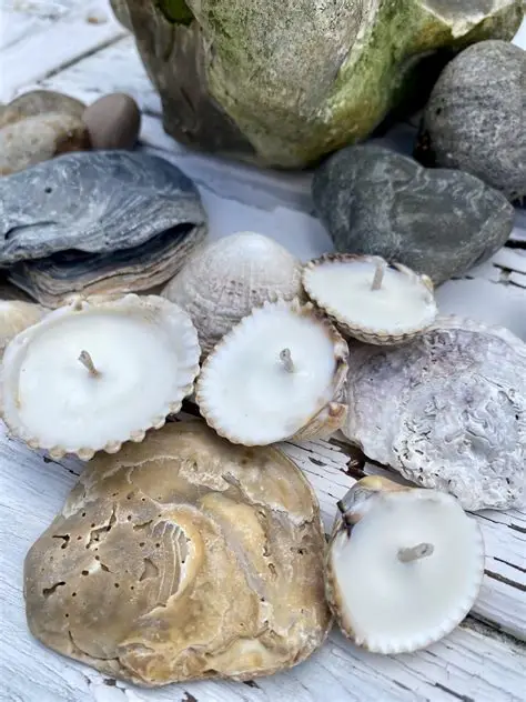 Handcrafted Cockleshell Candle | 4 units/pack | Eco-Friendly Soy Wax | Coastal Gift UK