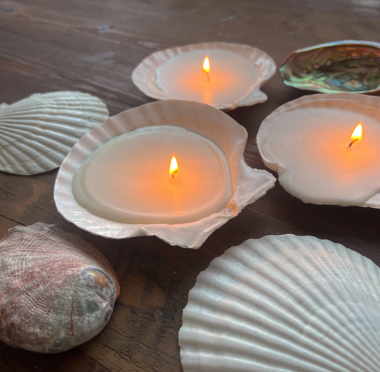 Handcrafted Cockleshell Candle | 4 units/pack | Eco-Friendly Soy Wax | Coastal Gift UK